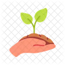 Ecology Plant Tree Icon