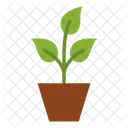 Plant Ecology Environment Icon