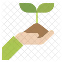 Tree Plant Hand Icon