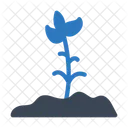 Plant Soil Growth Icon