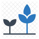 Plant Nature Tree Icon