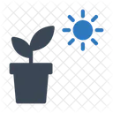 Plant Nature Sun Icon