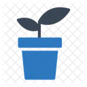 Plant Nature Green Icon