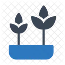 Plant Nature Green Icon