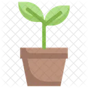 Ecology Eco Nature Icon