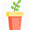 Plant Nature Leaf Icon