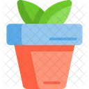 Plant Nature Icon
