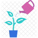 Plant Leaf Nature Icon