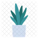 Decor Plant Tree Icon
