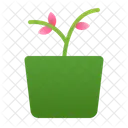Plant Farm Agriculture Icon