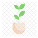 Plant Tree Green Icon