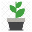 Plant Growth Ecology Icon