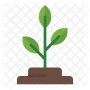 Plant  Icon