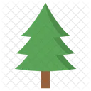 Plant Christmas Tree Tree Icon