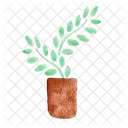 Plant Nature Green Icône