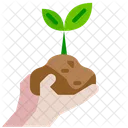 Plant  Icon