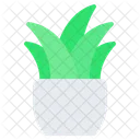 Plant  Icon