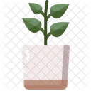 Plant  Icon
