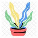 Plant  Icon