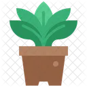 Plant Potted Pot Icon