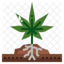 Plant  Icon