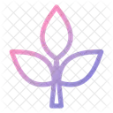 Plant Icon