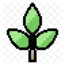 Plant Icon