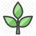 Plant Icon