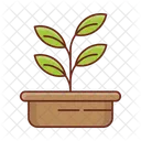 Plant  Icon