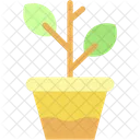 Plant Natural Biology Icon