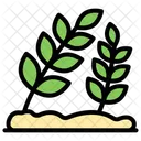 Plant  Icon