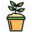 Plant  Icon