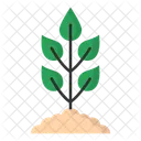 Plant Icon