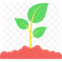 Plant Environment Nature Icon