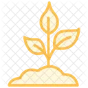 Plant Color Outline Icon 아이콘