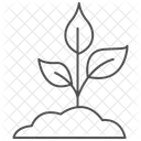 Plant Grey Thin Line Icon 아이콘