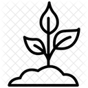 Plant Black Outline Icon 아이콘