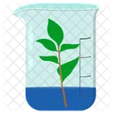 Plant In Beaker Botany Plant Science Icon