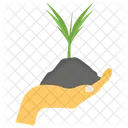 Plant In Hand Growing Plant Gardening Icon