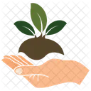 Plant In Hand  Icon