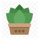 Plant in Pot  Icon