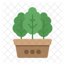 Plant in Pot  Icon