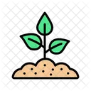 Plant In Soil Plants Growth Sprout Icon