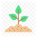Plant In Soil  Icon