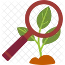 Plant Growth Leaves Icon