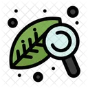 Plant Investigation Research Leaf Icon