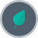 Plant Leaf  Icon