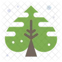 Plant Leaf  Icon