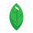 Template Plant Leaf Icon