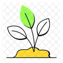 식물의 잎 식물 재배 묘목 아이콘